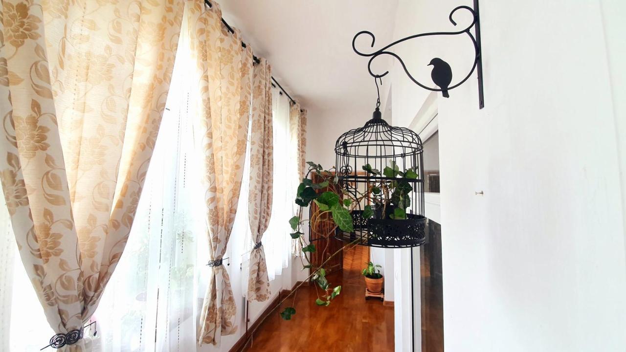 Writer S Street Residence Арад Экстерьер фото